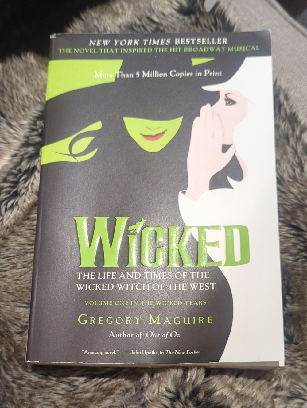 Wicked Book By Gregory Maguire